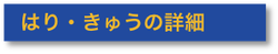 鍼灸治療の詳細