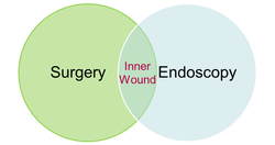 endoscopicvacuumtherapys Webseite!