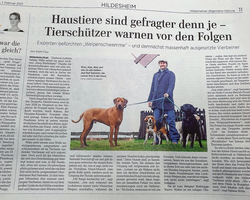 Hildesheimer Allgemeine berichtet über Hundeschule Simsammlerbim
