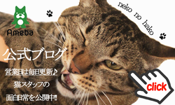常設】藤田三歩メルヘン画展 - 喫茶・猫雑貨あり！女性に