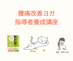 腰痛改善ヨガ指導者養成講座イメージ
