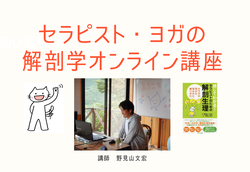 セラピスト・ヨガの解剖学オンライン講座イメージ