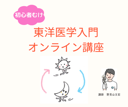 東洋医学入門オンライン講座イメージ