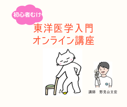 東洋医学入門オンライン講座