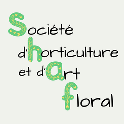shaf saint nazaire