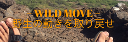 WILD MOVE 野生の動きを取り戻せ