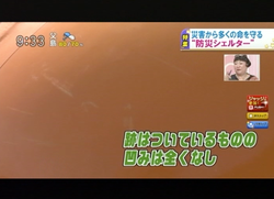 TOKYOMXテレビ31のバラいろダンディで津波シェルター放映