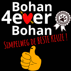 bohan4ever