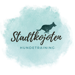 Hundeschule Rostock - Stadtkojoten - Hundetrainer