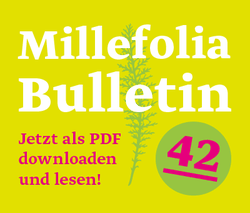Deutschsprachiges Banner für das Millefolia Bulletin 41 in hellgrün, Magenta und weiss