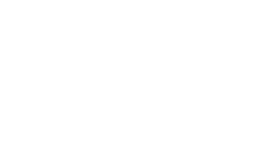 Pilates in Wien – Bewegung, Kraft & Körperbewusstsein
