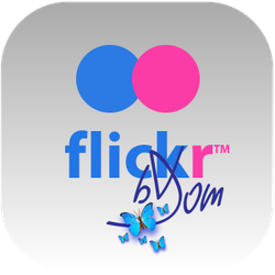 Mon site sur Flickr
