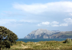 Laredo (CC BY-SA)
