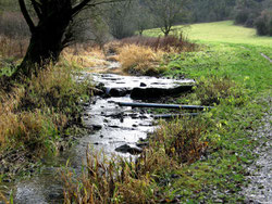 Im schönen Steinbachtal