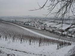 Ranschbach vor der Kleinen Kalmit