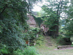 Die Rallye durch die Burg Eberbach