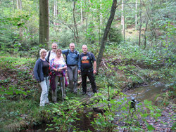 Sumpfland im Stumpfwald