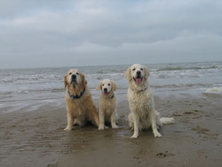 "Uncle" Jack (C-Wurf), Smilla und Jule 2010