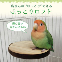小鳥用 お団子型まる～い止まり木