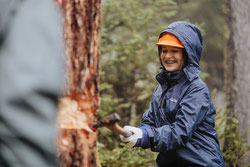 Klimawoche im Wald