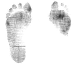 L'empreinte des pieds de F.