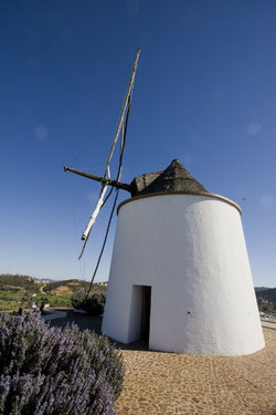  Ruta Ingenios del Aire: Molinos de viento en la comarca onubense del Andévalo. Molino de viento, El Almendro (Huelva). Foto IAPH