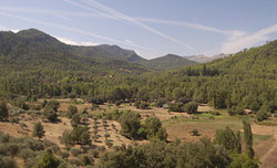 Parque Natural de las Sierras de Cazorla, Segura y las Villas, en Jaén.