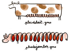 Dessin d'une vache et d'un cochon "plusdevache.gmo" "plus de cochon.gmo"