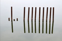 © Gräwe (DGPh) "Lauterbach, Rügen 2013"