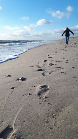 Ina sammelt Treibholz am Nordseestrand in Dänemark