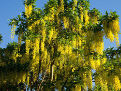 Foto: iStock