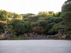 金地院　鶴亀の庭