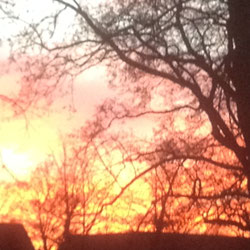 Abendstimmung im Dezember Foto Heidrun Langer - 