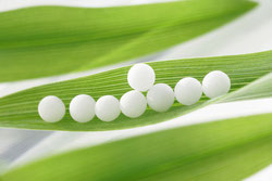 homéopathie allaitement