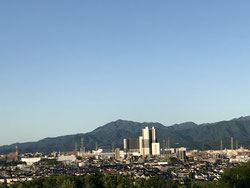 八王子市と町田市の境界にある尾根緑道の「むくげ」です