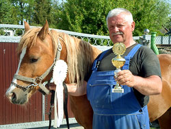 Siegerpony bei der Jungpferdeschau
