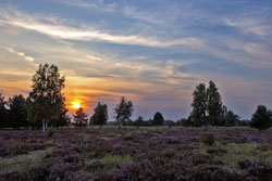 Foto: E. Greiner