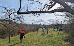 Fleißige Helfer im Einsatz  Foto: Chris Wallem