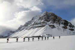 Frozen Bow Lake