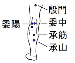 腰背部の疲れ ツボ健康療法講座
