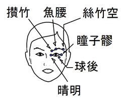 美容 ツボ健康療法講座 美容 ツボ健康療法講座