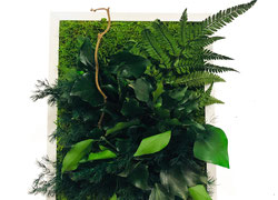 Tableau Vegetal Stabilise Vegetal Indoor Mur Végétal Stabilisé