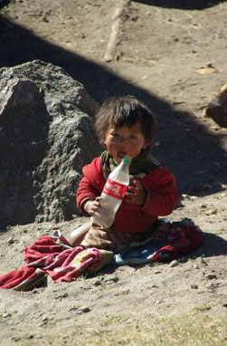 petit Népalais de la vallée du Khumbu