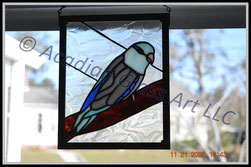 Parrotlet Stained Art Glass Panel