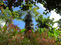 Waterfall gardens