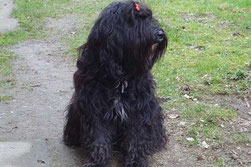 Kar-mi, 7 Jahre alt