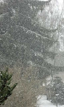 Schneegestöber