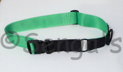 Transponderhalsband Pferd