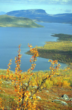 Kilpisjärvi ja Saana