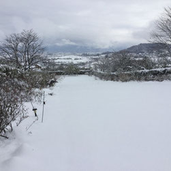 雪が積もった芝生広場